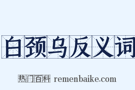 白颈乌反义词是什么意思的图片